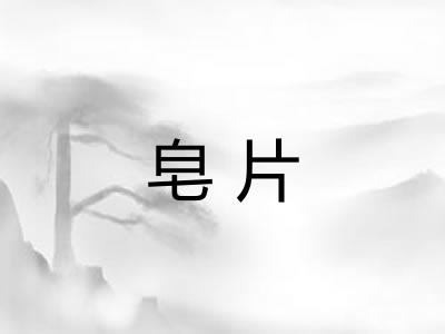 皂片