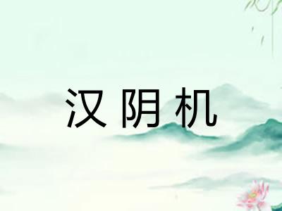 汉阴机