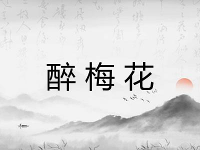 醉梅花