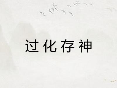 过化存神