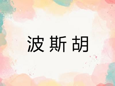 波斯胡