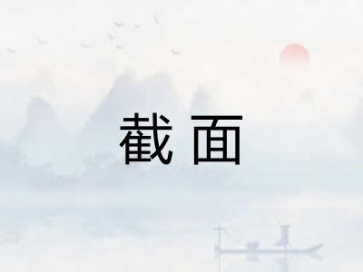 截面
