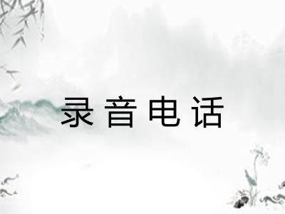 录音电话
