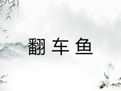 翻车鱼