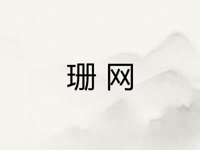 珊网