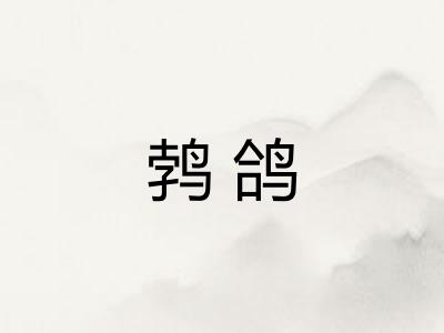 鹁鸽