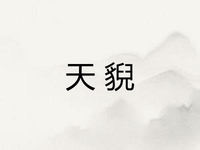天貎
