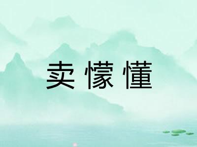 卖懞懂
