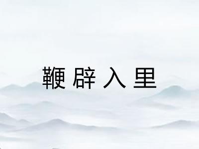 鞭辟入里
