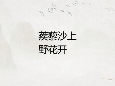 蒺藜沙上野花开