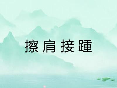 擦肩接踵
