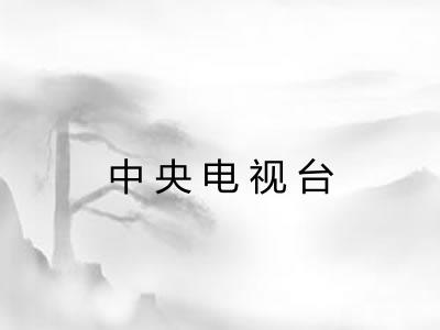中央电视台