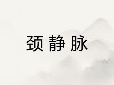 颈静脉
