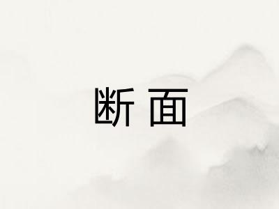 断面