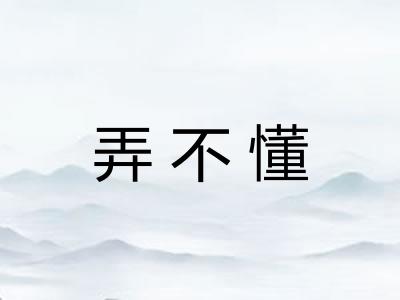 弄不懂