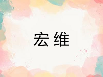 宏维