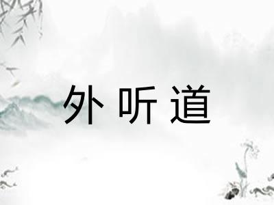 外听道
