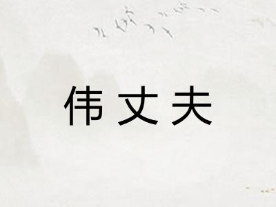 伟丈夫