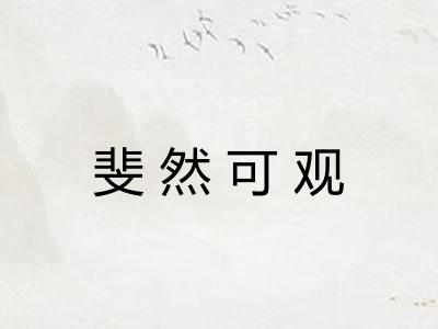 斐然可观