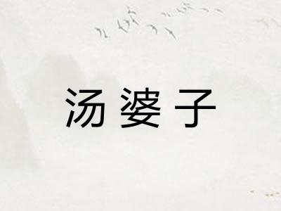 汤婆子
