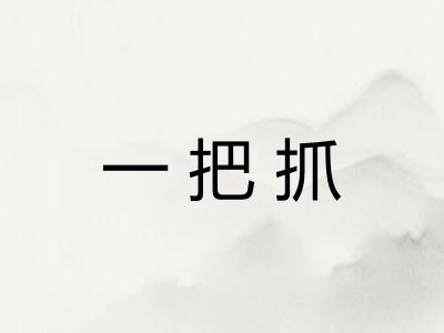 一把抓
