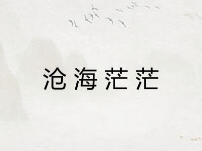 沧海茫茫