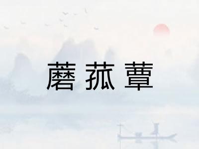 蘑菰蕈