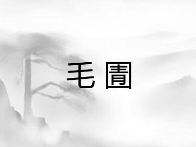 毛圊
