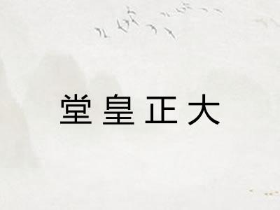 堂皇正大