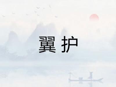 翼护