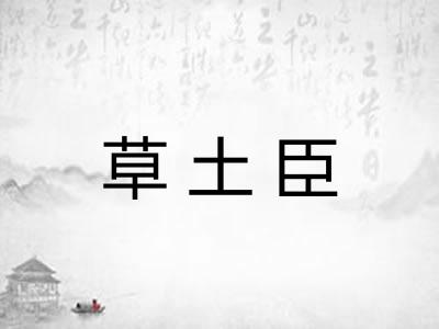 草土臣