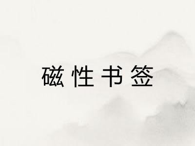 磁性书签