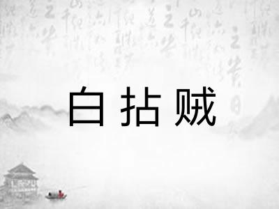 白拈贼