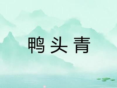 鸭头青