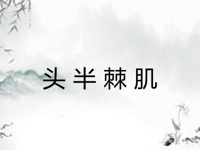 头半棘肌