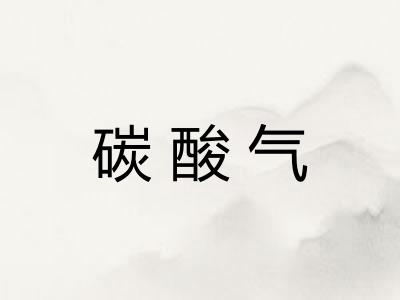 碳酸气