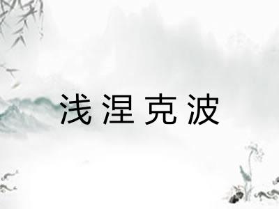 浅涅克波