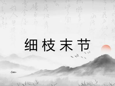 细枝末节