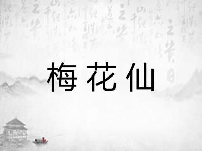 梅花仙