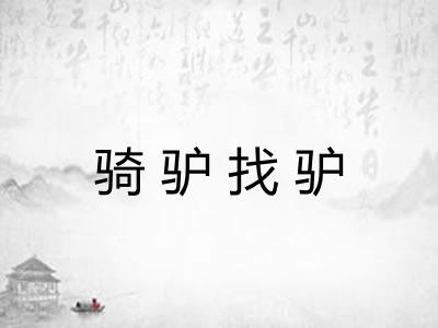 骑驴找驴