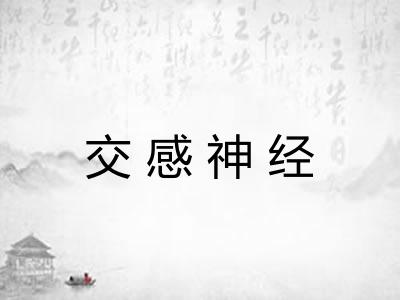 交感神经