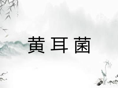 黄耳菌