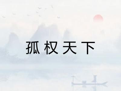 孤权天下