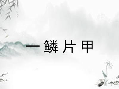 一鳞片甲