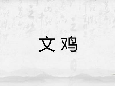 文鸡