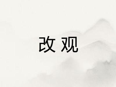 改观