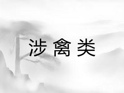 涉禽类