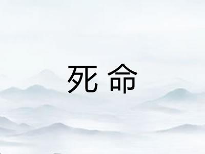 死命
