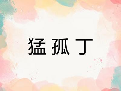 猛孤丁