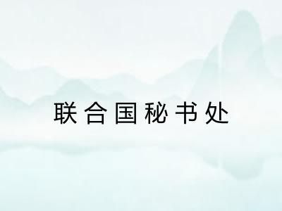 联合国秘书处